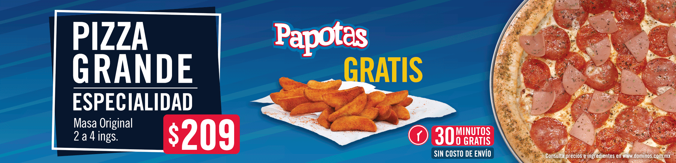 Domino´s Pizza Inicio